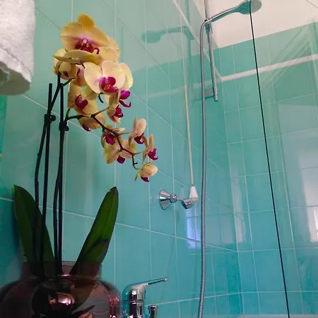 Bed & Breakfast Felice Monteverde Vecchio *